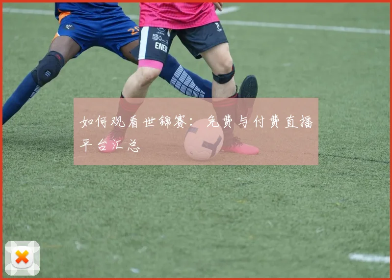 如何观看世锦赛:免费与付费直播平台汇总