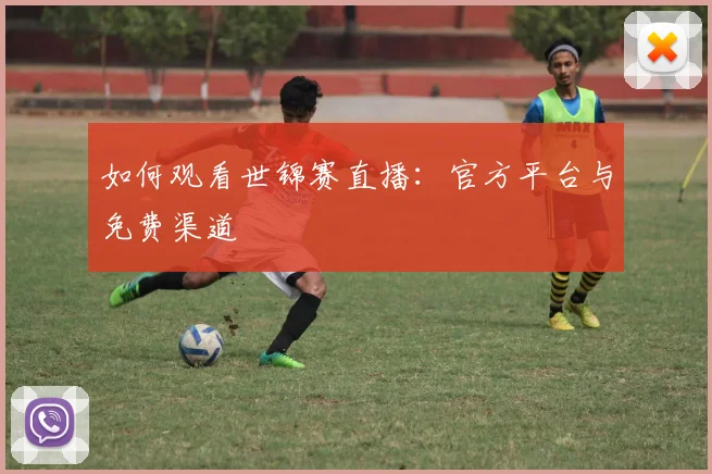 如何观看世锦赛直播:官方平台与免费渠道