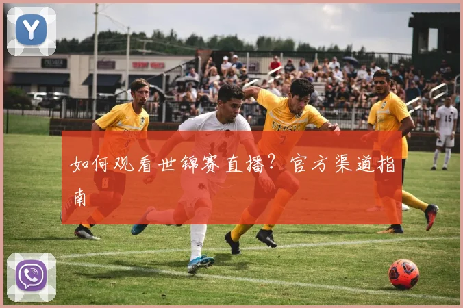 如何观看世锦赛直播?官方渠道指南